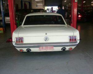mustang-min